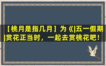 【桃月是指几月】为《|五一假期|赏花正当时，一起去赏桃花吧！》